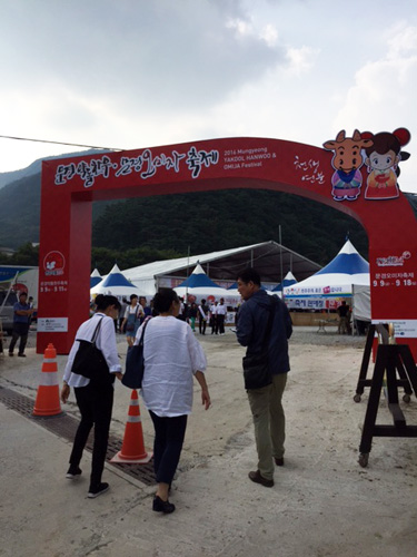 聞慶韓牛・五味子祭り