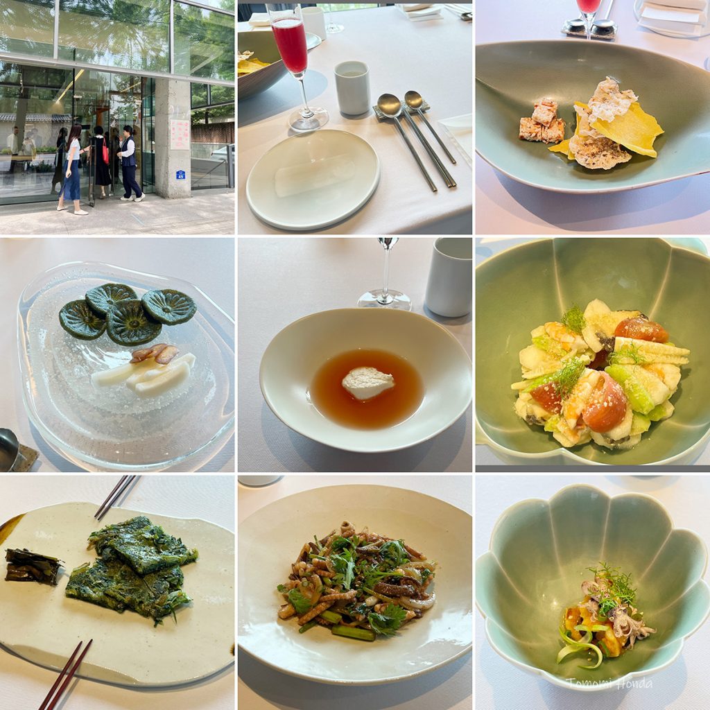 未開封 美品 オンジウムの料理本 根と翼 Onjium's Cookbook 未開封 美